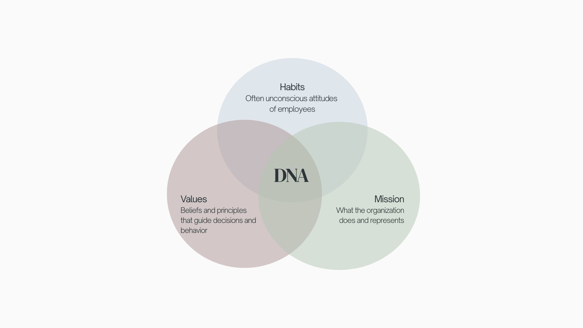 componants_company_DNA